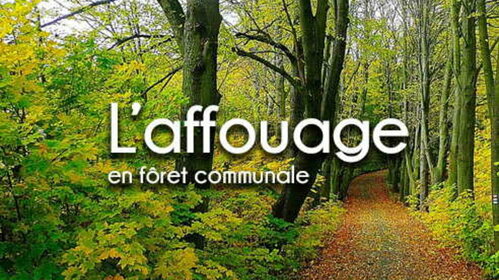 Affouages : ouverture des inscriptions le 03/10