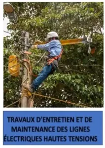 Travaux pour l'entretien de lignes électriques
